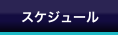 スケジュール