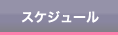 スケジュール