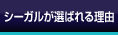 スタジオ紹介