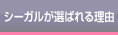 スタジオ紹介